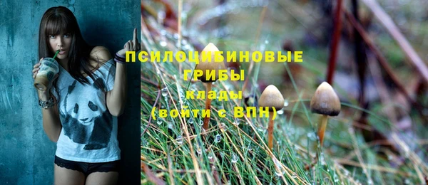 a pvp Михайлов