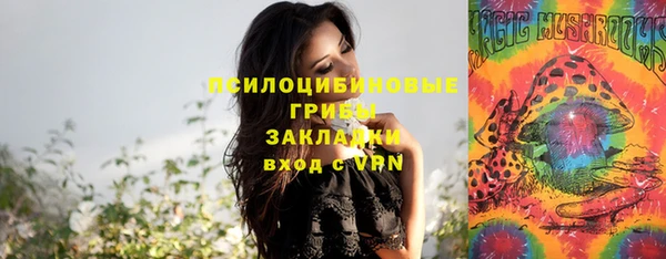 2c-b Михайловка